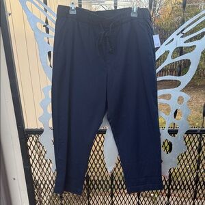 GAP Women's Navy Cropped Pants